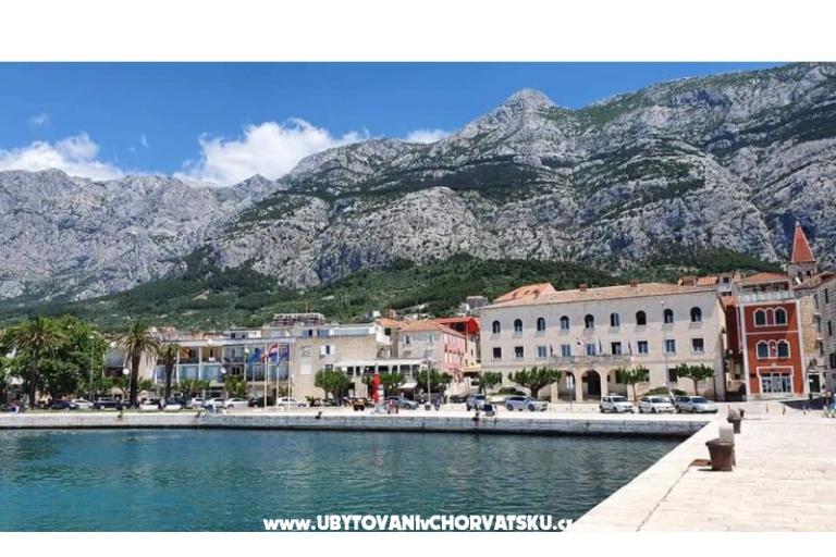 Apartmán Andrijašević – foto 17