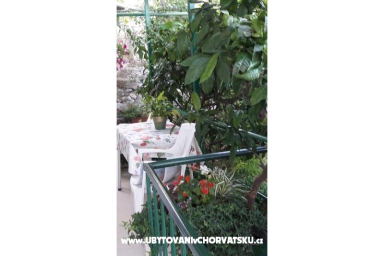 Apartmán Olga – foto 11