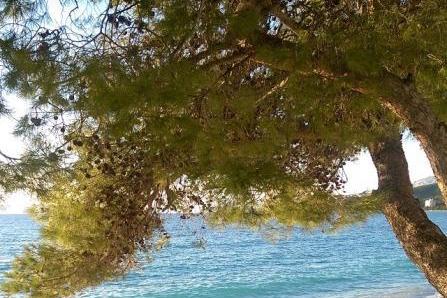 Apartmány Barbir – foto 8