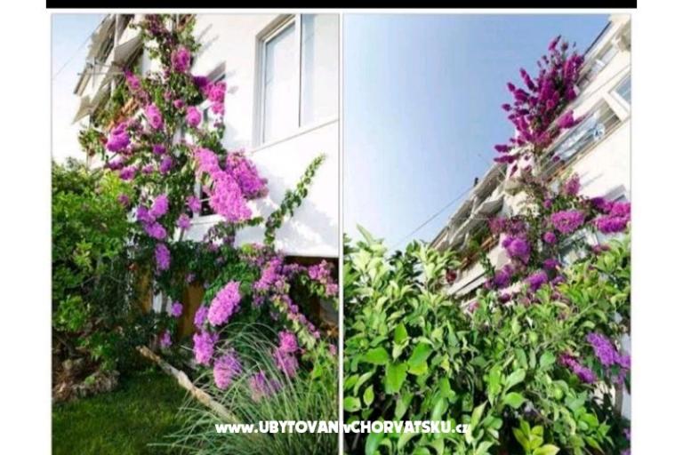 Apartmány DIVIA – foto 3