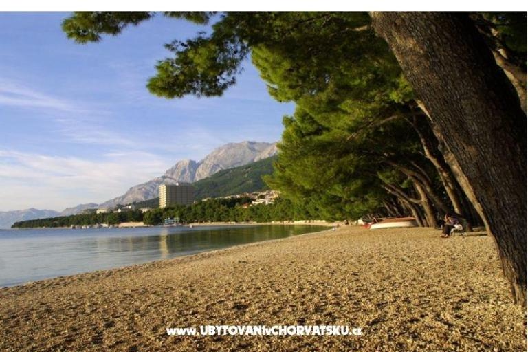 Apartmány IVO – foto 3