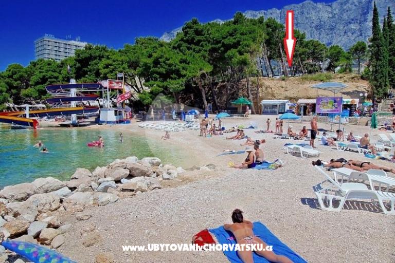 Apartmány Neva plaža – foto 3