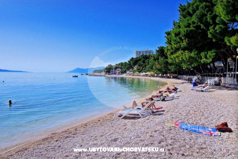 Apartmány Neva plaža – foto 6