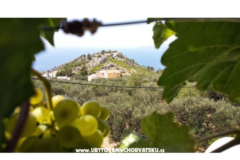 Apartmán Veliko Brdo – foto 13