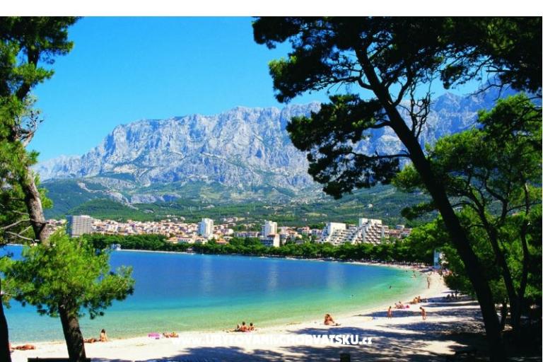 Dům Erceg – foto 14