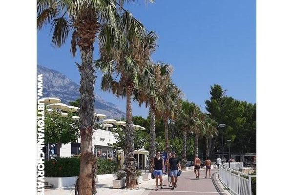 Dům Biokovo – foto 25