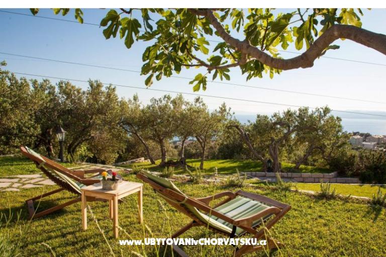 Rustic Oliveto – foto 7