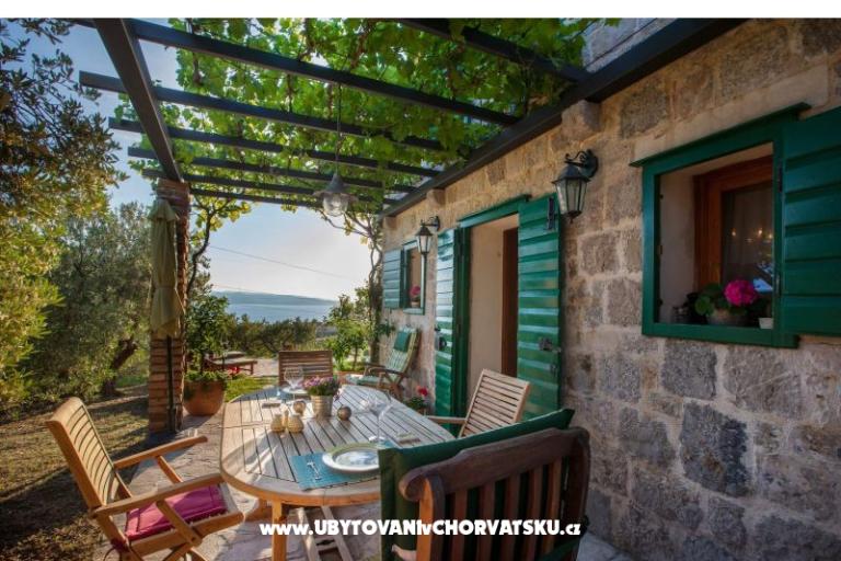 Rustic Oliveto – foto 8