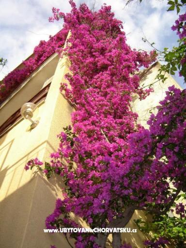 Vila Ventus – foto 16