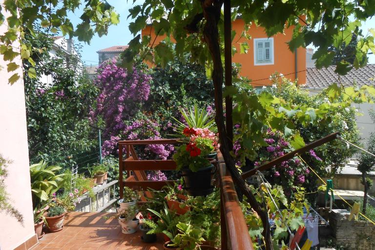 Apartmány  Vodarić – foto 8