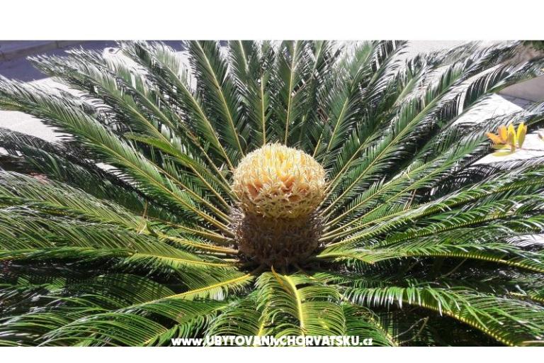 Apartmány Ola – foto 15