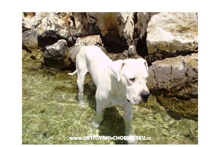 Apartmán Miro – foto 14