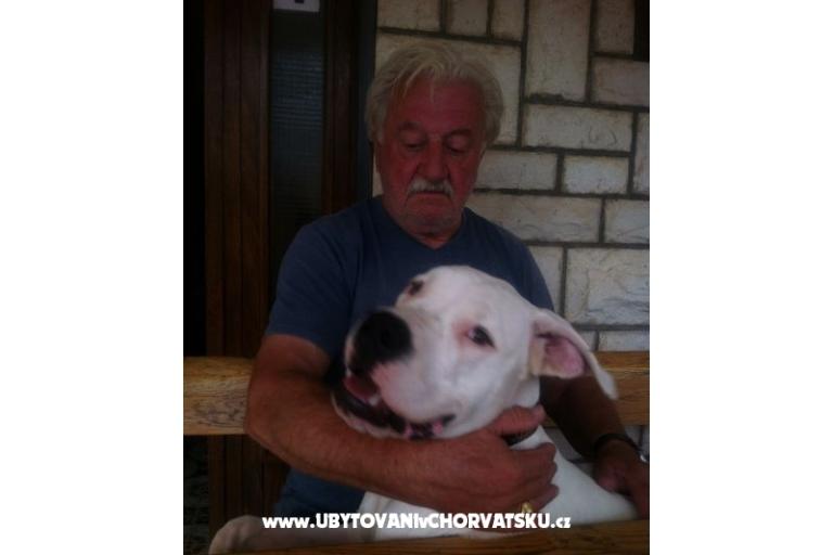 Apartmán Miro – foto 15