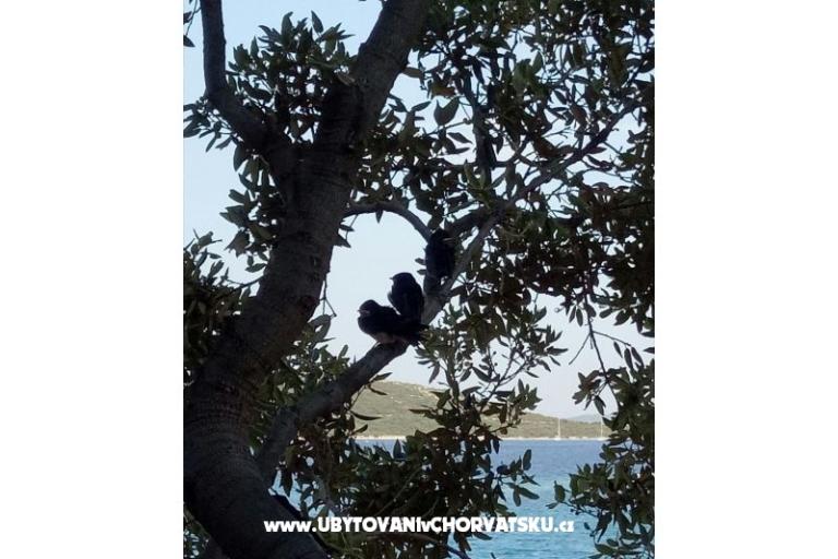 Luxury Villa Marin Apartmány – foto 17