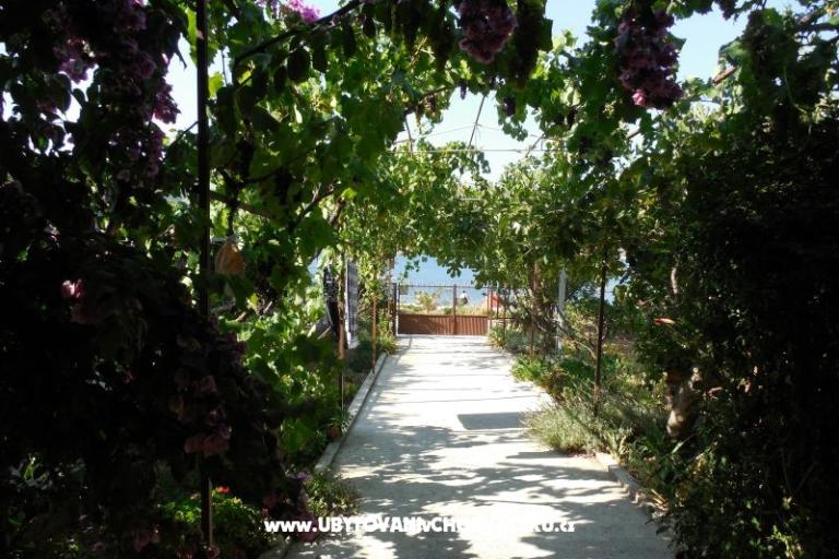 Dům Marino – foto 10