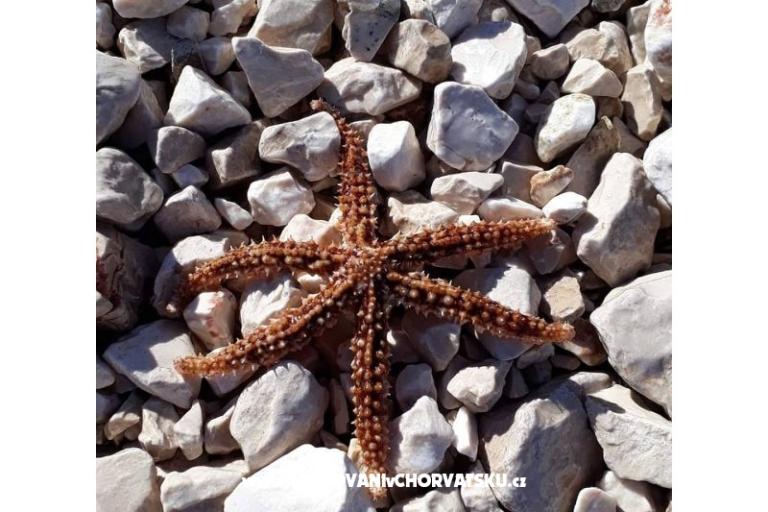 Apartmány Marko Sevid – foto 13