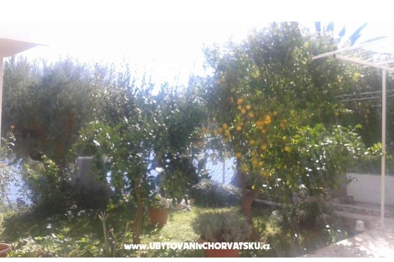 Apartmány Neves – foto 13