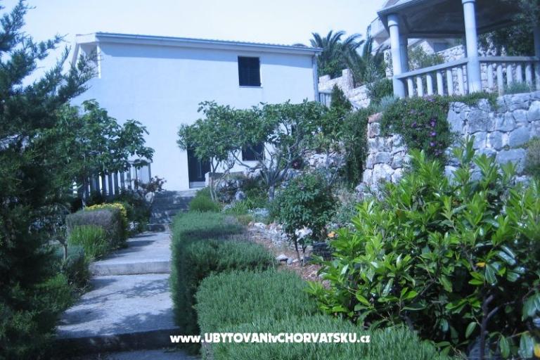 Apartmány Punta  – foto 2