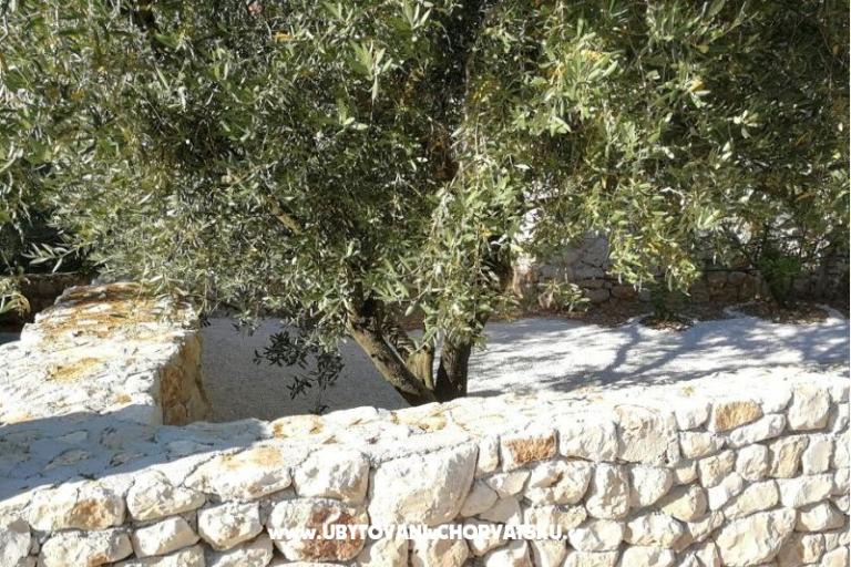 Dům Ticinovic  – foto 6