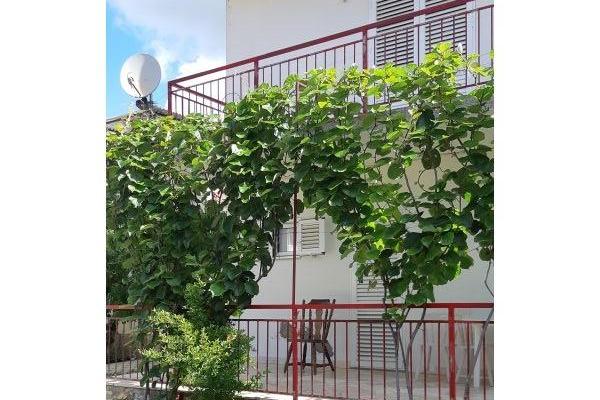 Slavko Šain – foto 24