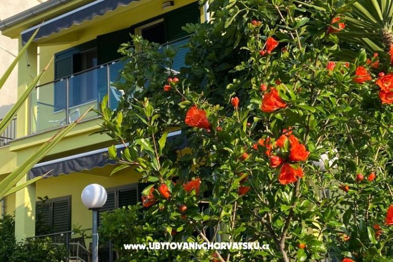 Stari Šime – foto 22