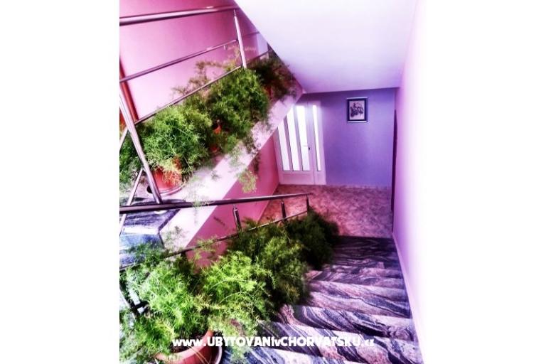 Villa Jelena – foto 15