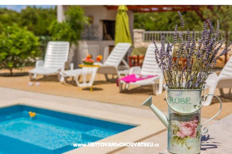 Apartmány Vila Nena s bazénem – foto 6