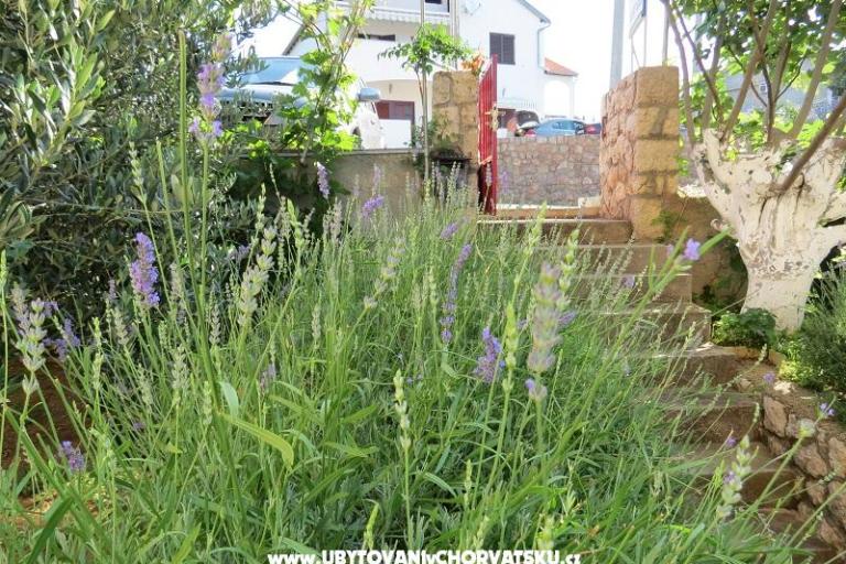 Apartmány Marija – foto 11