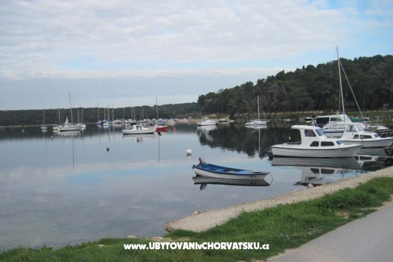 Alex 1 i Alex 2 – foto 15