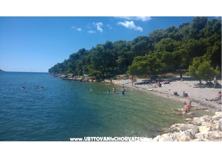 Alex 1 i Alex 2 – foto 17