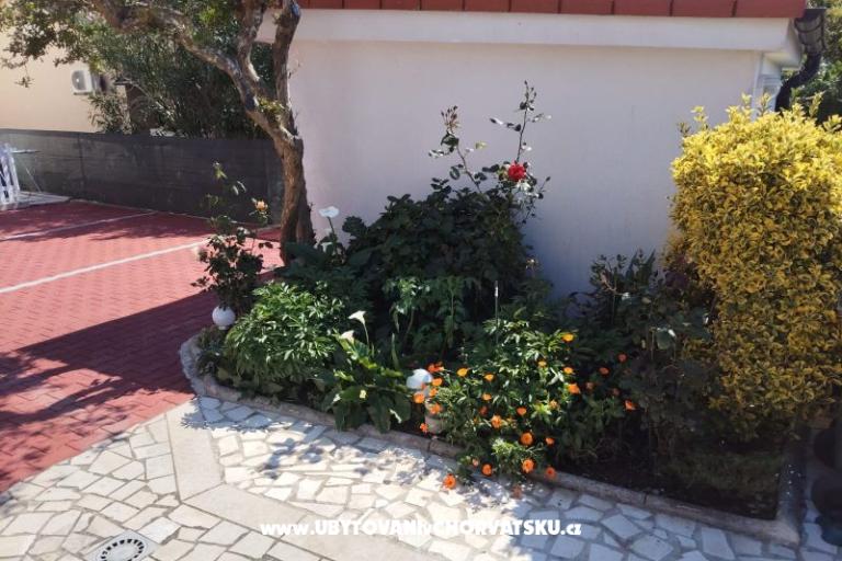 Apartmány Mila-Casa Bianca  – foto 6