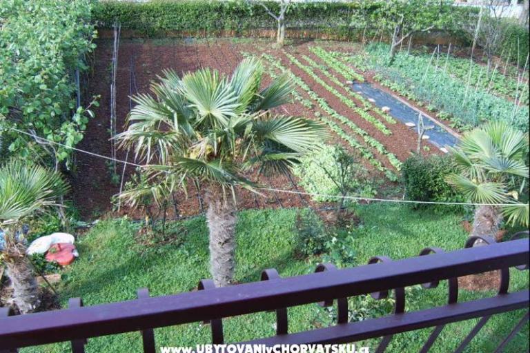 Apartmány Zova – foto 8