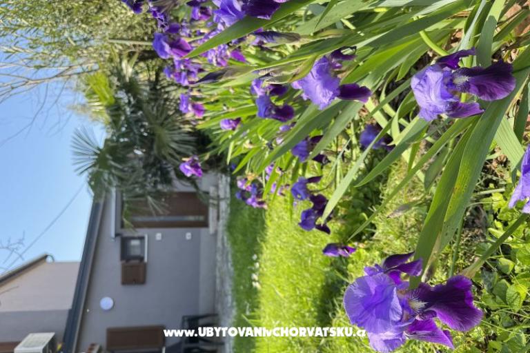 Flowers Apartmán Medulin, Fucane 2 – foto 15