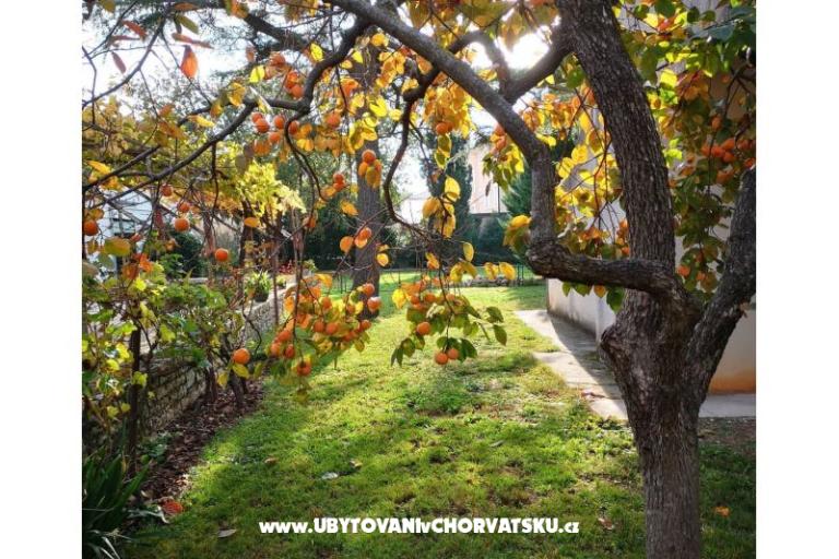 Flowers Apartmán Medulin, Fucane 2 – foto 4