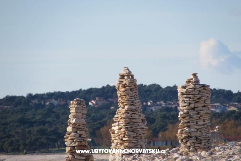 Dům Oliva – foto 16