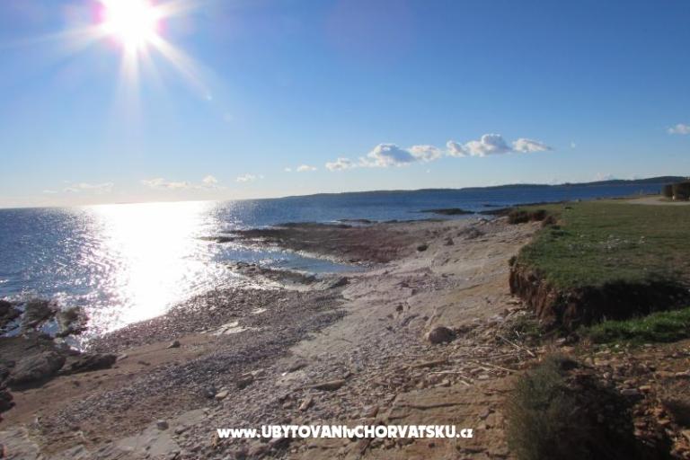 Dům Oliva – foto 17