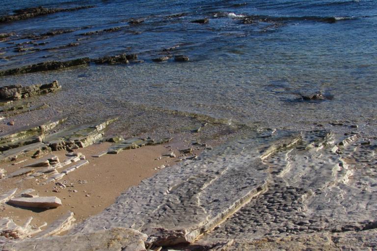 Dům Oliva – foto 2