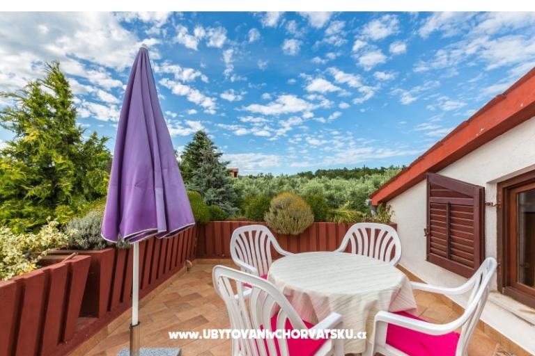 Dům Vencel – foto 12