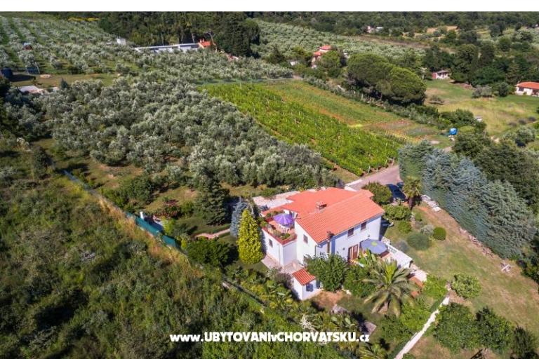 Dům Vencel – foto 15