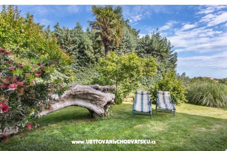 Dům Vencel – foto 16