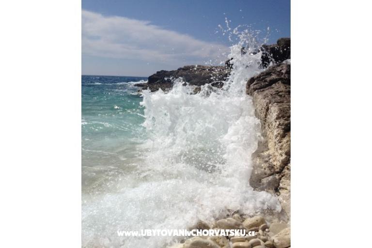 Premantura Dům – foto 11