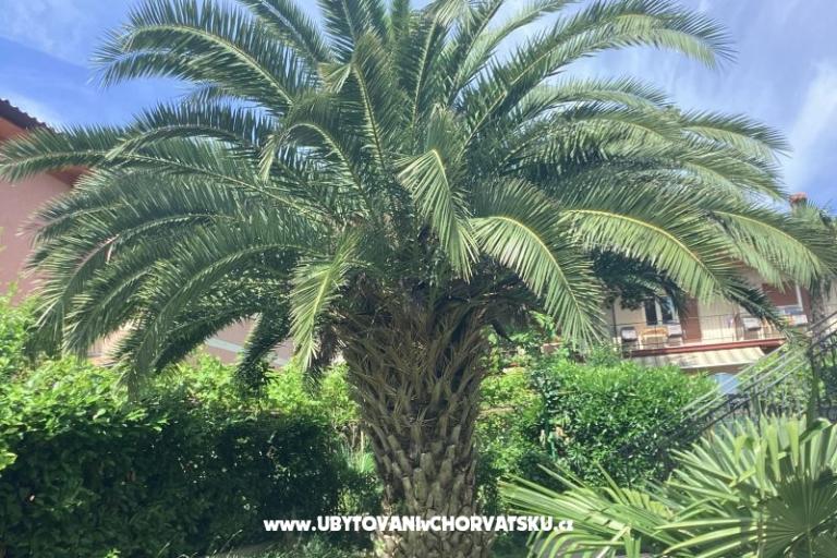 Apartmány Rubinić  – foto 19