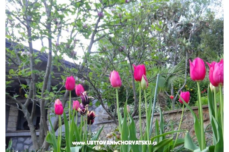 Apartmány Vera – foto 18