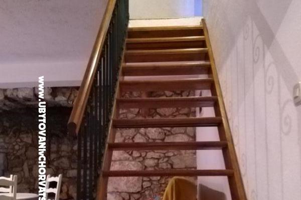 Dům k odpočinku Mickey – foto 28