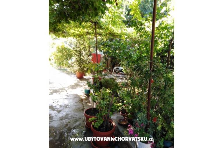 Apartmán Fifi – foto 16