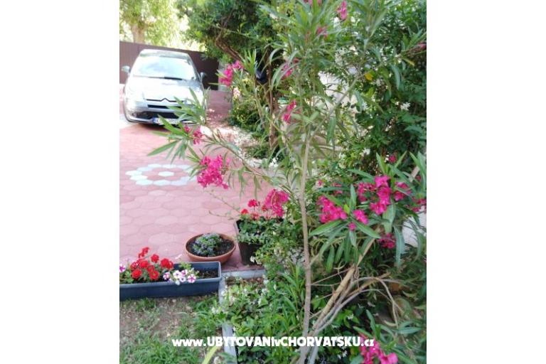 Apartmán Fifi – foto 6