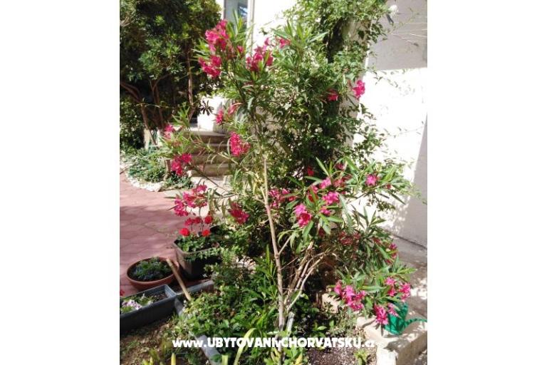 Apartmán Fifi – foto 7