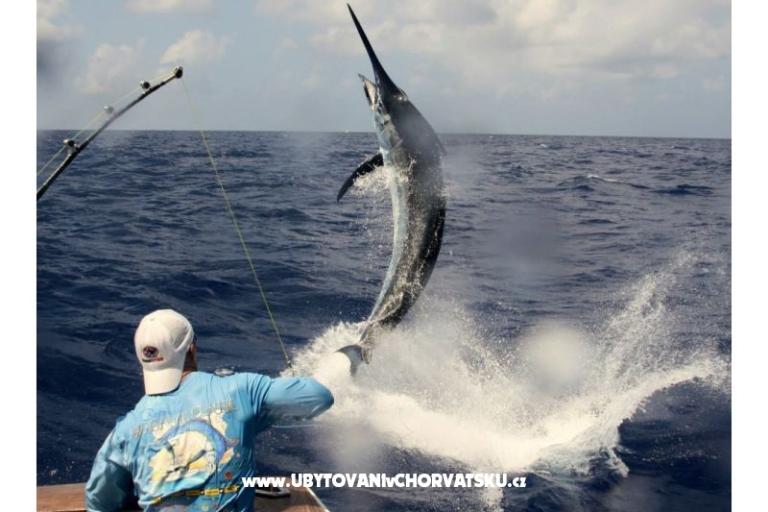 Apartmány Irena – foto 15