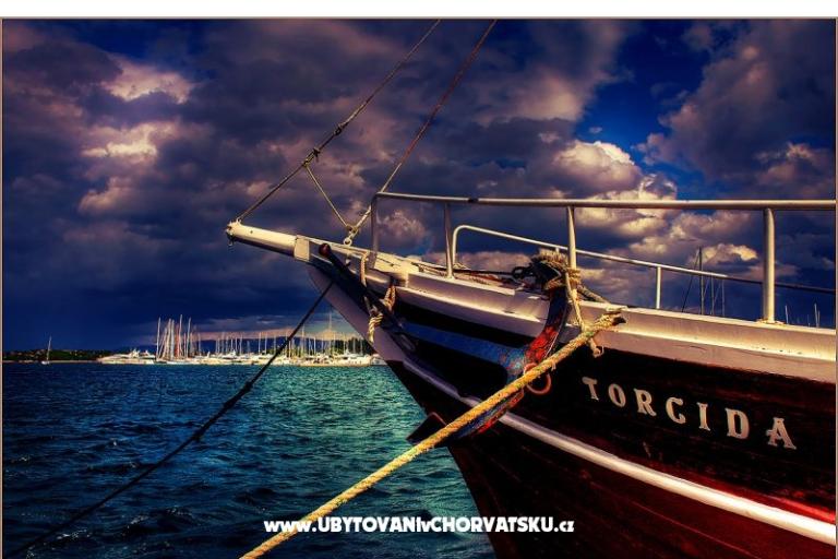 Kemp Rehut Murter Slanica – foto 13