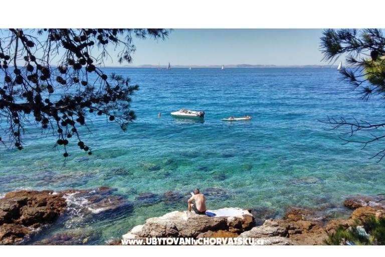 Miljenko – foto 14